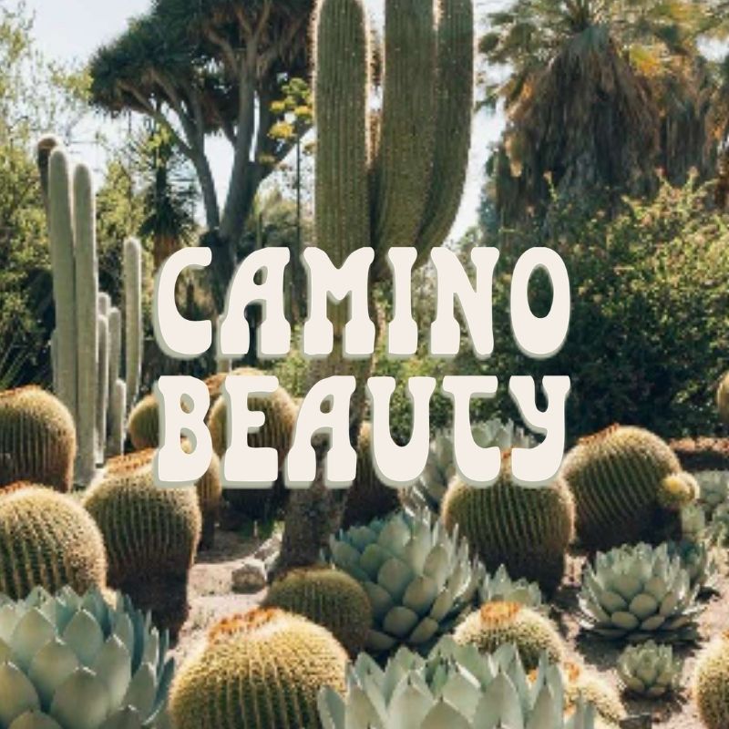 Camino Beauty T-Shirt